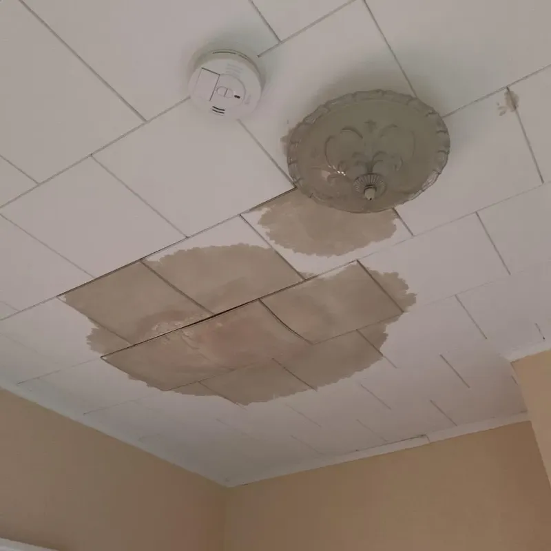Ceiling Water Damage Repair in Poway, CA